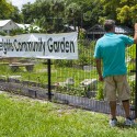 Tampa Heights Community Garden. WMNF News.