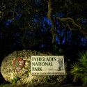 Everglades