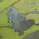 oil spill