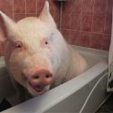 esther-in-tub1