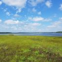 Myakka near Sarasota