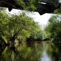 Little Manatee River near Waimauma. By Seán Kinane (Apr. 2016).