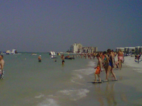 Medium_2366