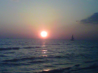 Medium_2424