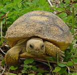 Medium_2535