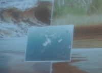 Medium_2898