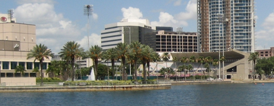 Large_339