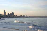 Medium_2946