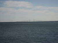 Medium_3249