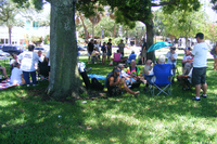Medium_3448