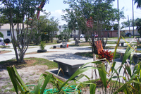 Medium_3497