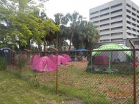 Medium_3553
