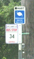 Medium_439