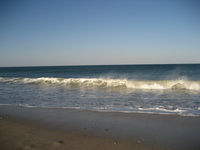 Medium_1602