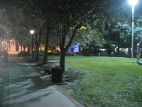 Medium_2762