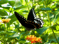 Medium_4821