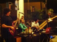 Medium_wahh_sitar_sk_5_jan_2013_independent_sh