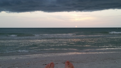 Large_seanfeet