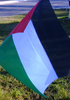 Large_738