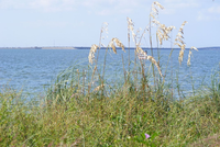 Medium_1489