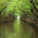 Clean Water Rule