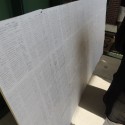 USF petition Palestine Israel divestment