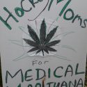 medical pot marijuana