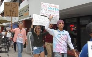 NoDAPL and Sabal Trail pipeline protest