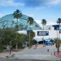 flaquarium.org The Florida Aquarium