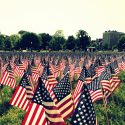 Memorial Day flags in Boston Common