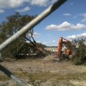 usf trees construction Publix