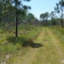 Serenova Pasco County