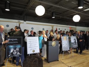 opioid lawsuit