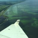 Algae bloom in Lake Okeechobee