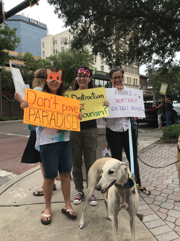 Toll Road Protest in St. Pete, photo by Laura Hensley
