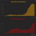 coronavirus dashboard by Rebekah Jones