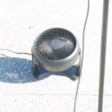 charlie crist's fan