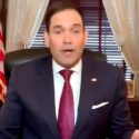 Florida Senator Marco Rubio on Election 2020