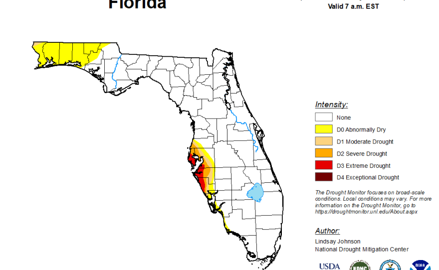 Drought worsens for some areas in Florida like the Tampa Bay region; is ...