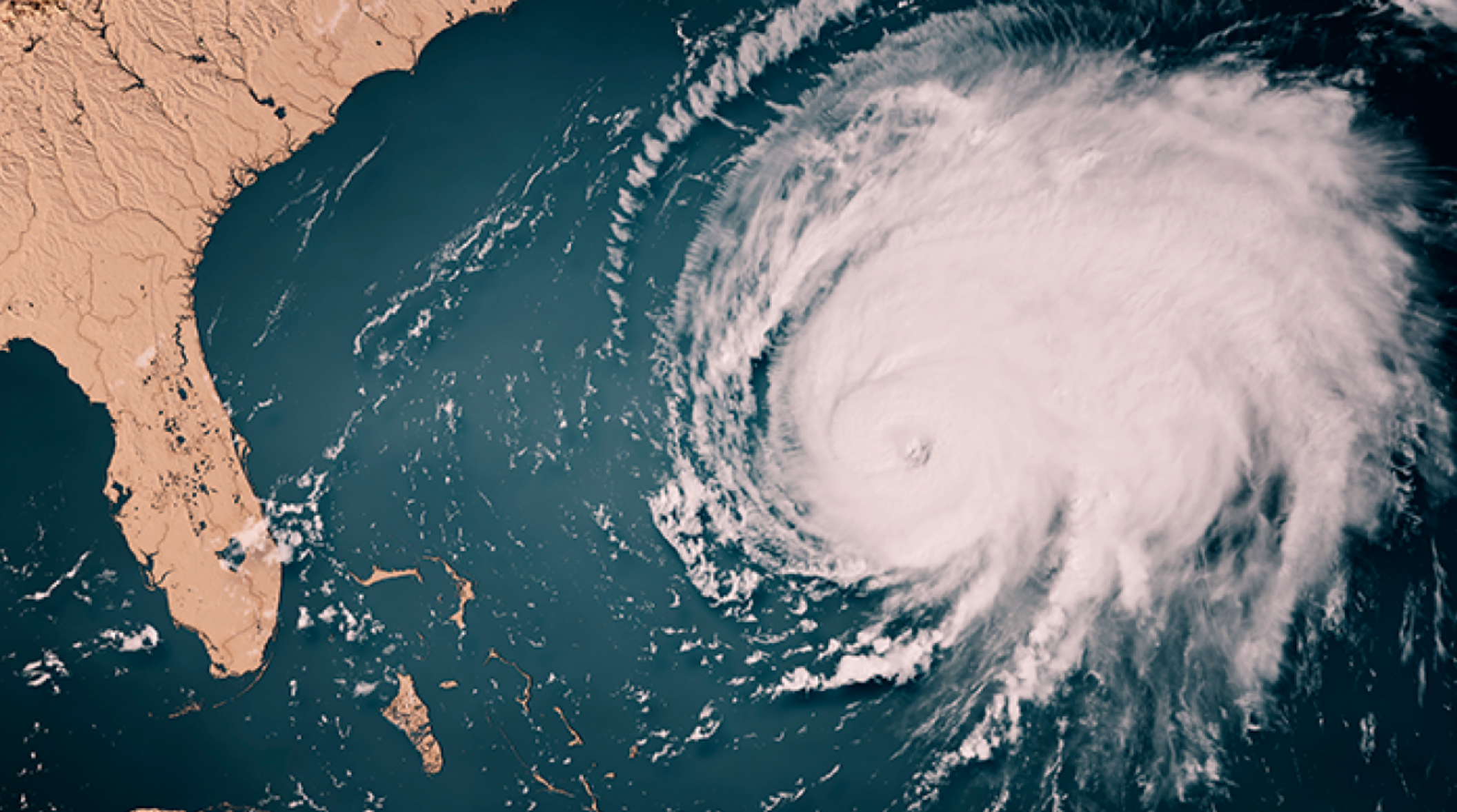 Hurricane Printables Pinellas County